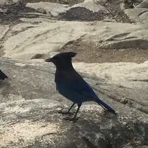 Meet your Posher, Carrie